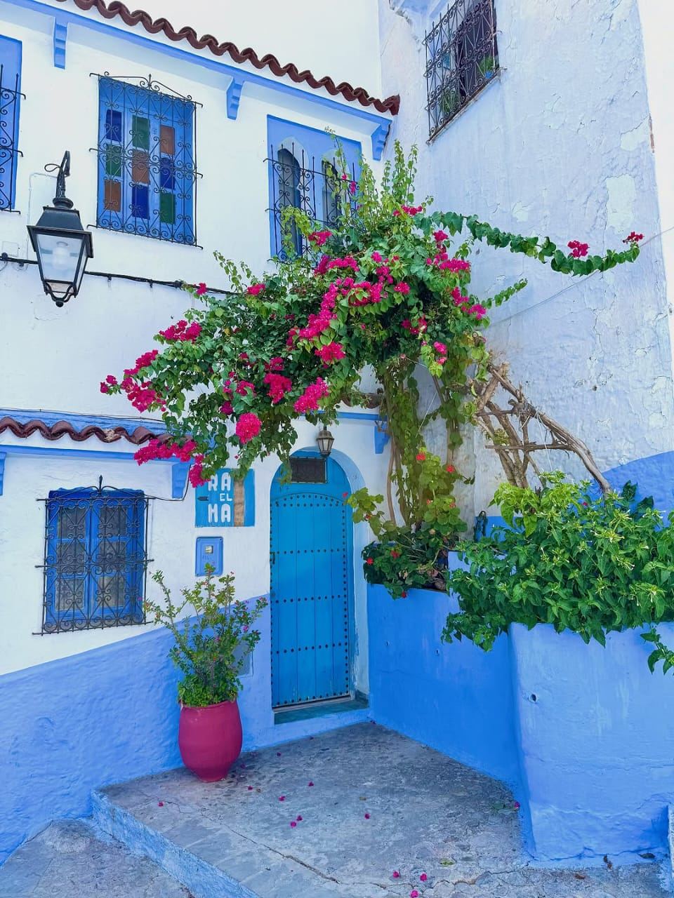 Maison bleue fleurie à Chefchaouen